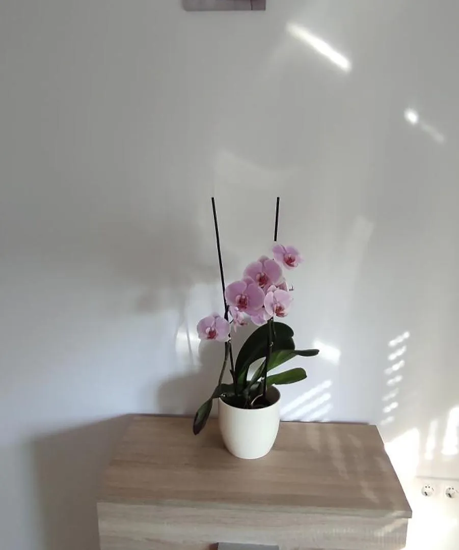 Apartment Zelena Oaza Sisan 75 M2 - 2 Bedrooms